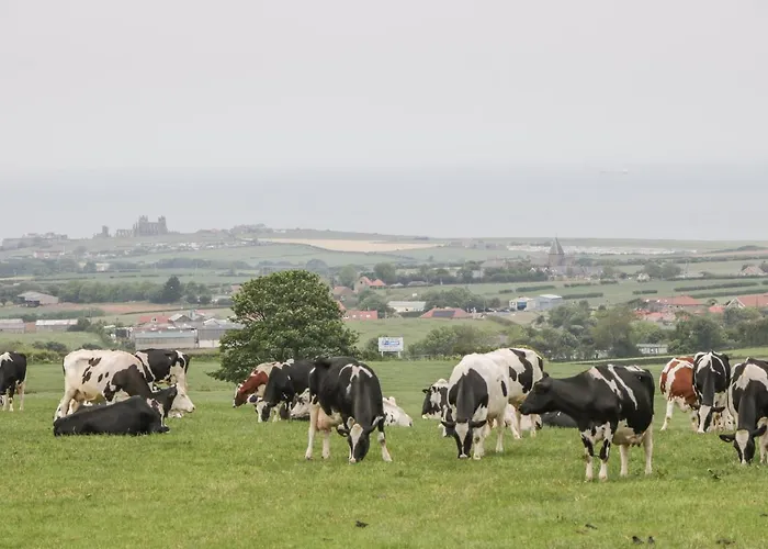 Abbey View Ferienhaus *