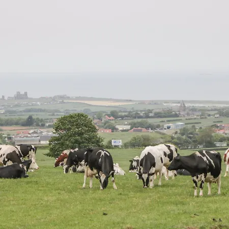 Abbey View Дом отдыха *